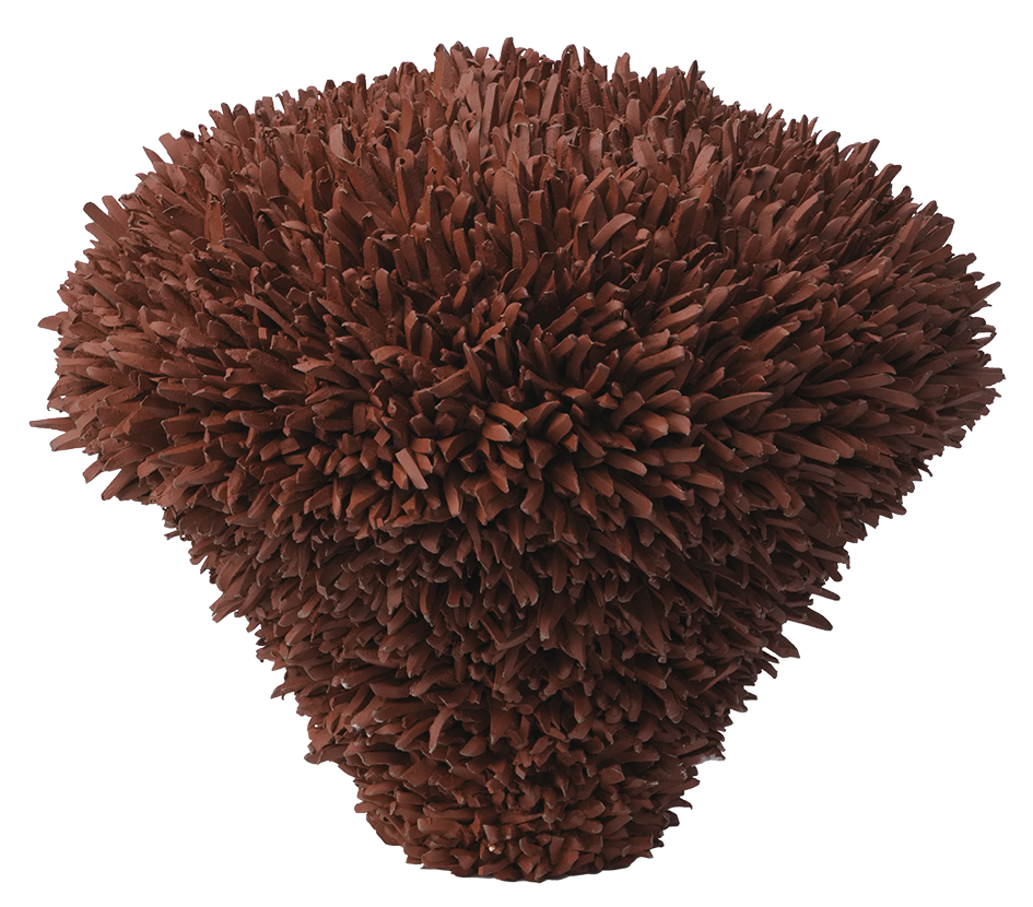 苏珊·拜纳 Susan Beiner.png